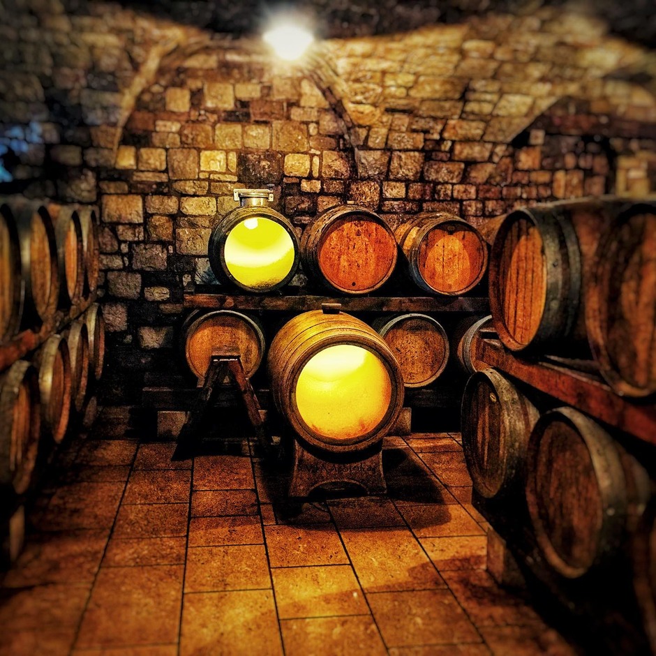 Culinary tour Slovenia Karst wine tasting