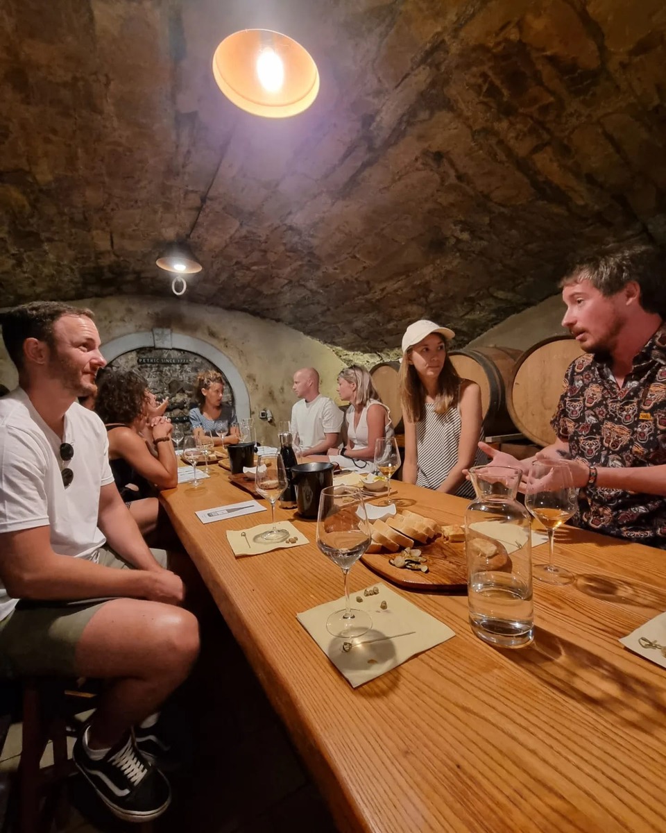 Culinary tour Slovenia wine tasting Vipava valley